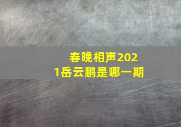 春晚相声2021岳云鹏是哪一期