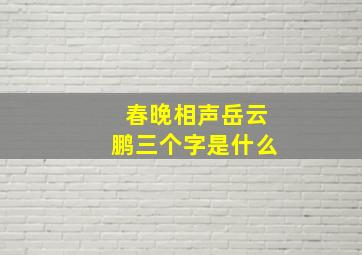 春晚相声岳云鹏三个字是什么