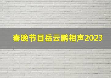 春晚节目岳云鹏相声2023