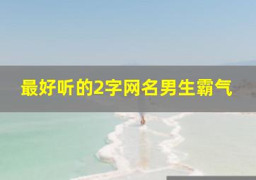 最好听的2字网名男生霸气