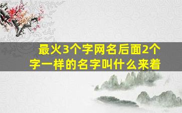 最火3个字网名后面2个字一样的名字叫什么来着