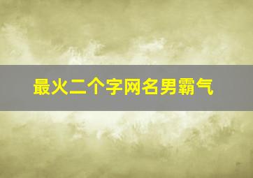 最火二个字网名男霸气