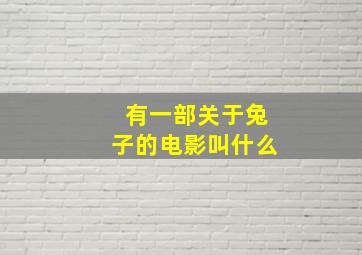 有一部关于兔子的电影叫什么