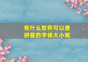 有什么软件可以查拼音的字体大小呢