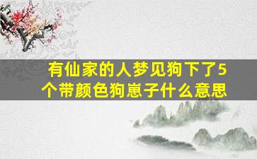 有仙家的人梦见狗下了5个带颜色狗崽子什么意思