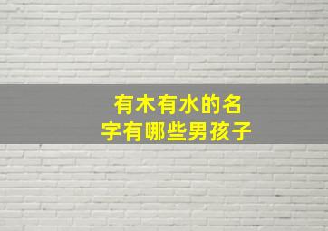 有木有水的名字有哪些男孩子