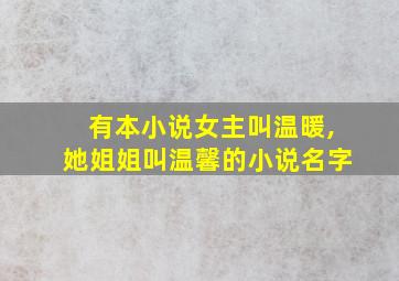 有本小说女主叫温暖,她姐姐叫温馨的小说名字