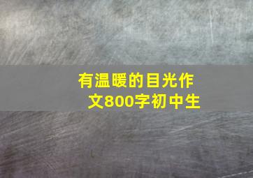 有温暖的目光作文800字初中生