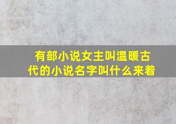 有部小说女主叫温暖古代的小说名字叫什么来着