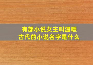 有部小说女主叫温暖古代的小说名字是什么