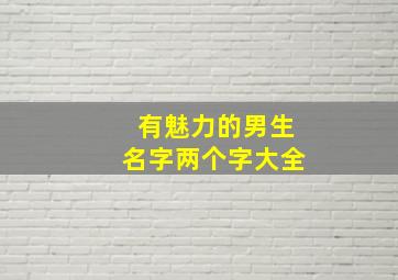 有魅力的男生名字两个字大全