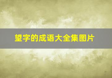 望字的成语大全集图片