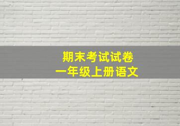 期末考试试卷一年级上册语文