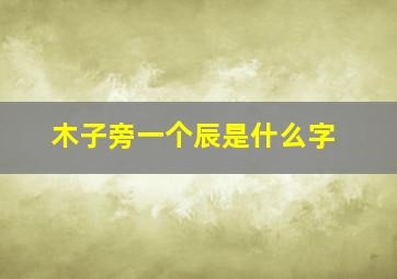 木子旁一个辰是什么字