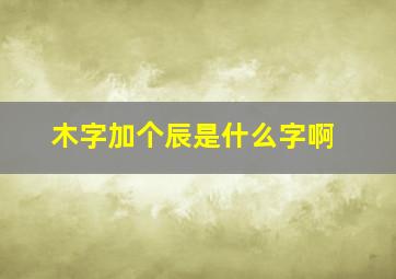 木字加个辰是什么字啊