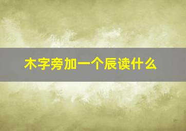 木字旁加一个辰读什么