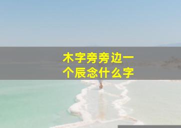 木字旁旁边一个辰念什么字