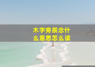 木字旁辰念什么意思怎么读