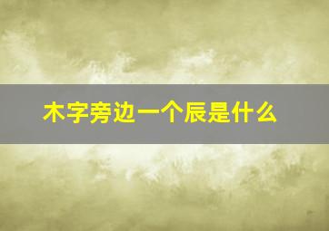 木字旁边一个辰是什么