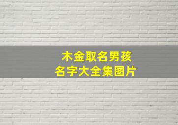 木金取名男孩名字大全集图片