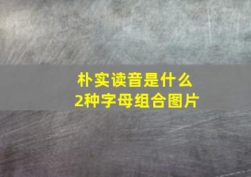 朴实读音是什么2种字母组合图片