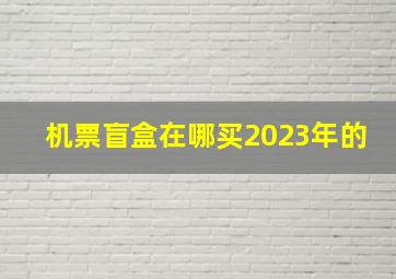 机票盲盒在哪买2023年的