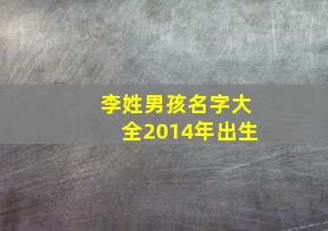 李姓男孩名字大全2014年出生