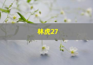 林虎27