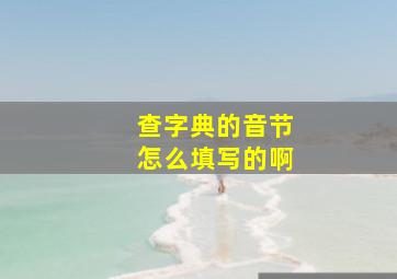 查字典的音节怎么填写的啊