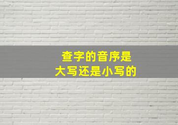 查字的音序是大写还是小写的