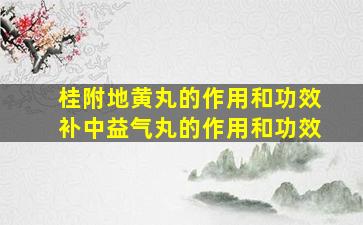 桂附地黄丸的作用和功效补中益气丸的作用和功效