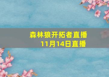 森林狼开拓者直播11月14日直播