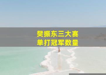 樊振东三大赛单打冠军数量