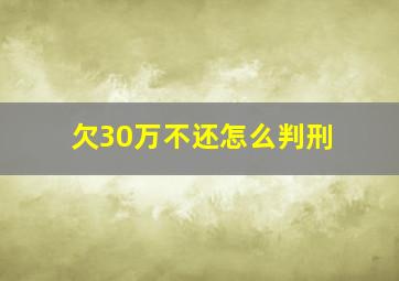 欠30万不还怎么判刑