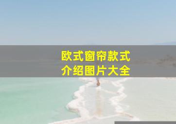 欧式窗帘款式介绍图片大全