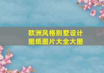 欧洲风格别墅设计图纸图片大全大图