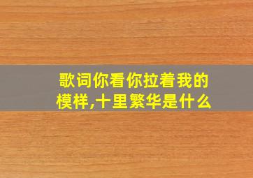 歌词你看你拉着我的模样,十里繁华是什么