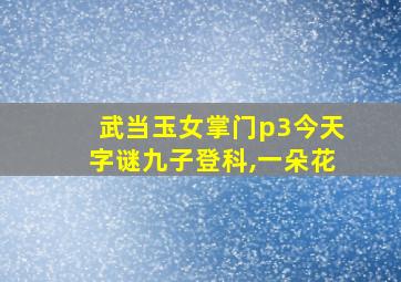 武当玉女掌门p3今天字谜九子登科,一朵花