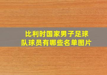 比利时国家男子足球队球员有哪些名单图片