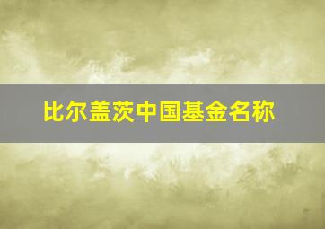 比尔盖茨中国基金名称