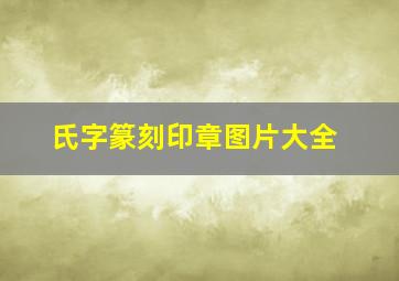 氏字篆刻印章图片大全