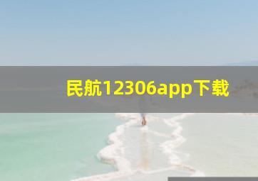 民航12306app下载