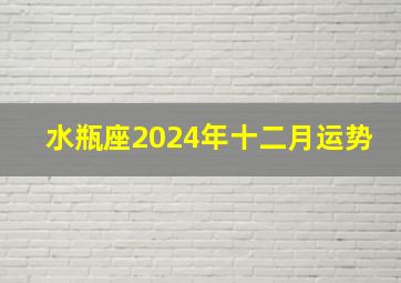 水瓶座2024年十二月运势