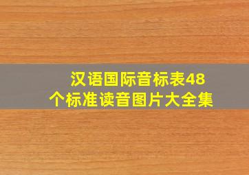 汉语国际音标表48个标准读音图片大全集