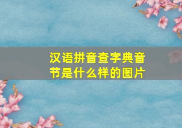 汉语拼音查字典音节是什么样的图片