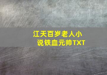 江天百岁老人小说铁血元帅TXT