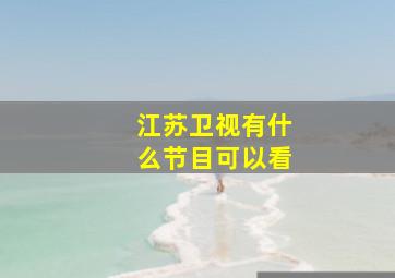 江苏卫视有什么节目可以看