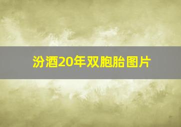 汾酒20年双胞胎图片