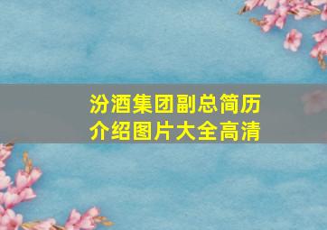 汾酒集团副总简历介绍图片大全高清