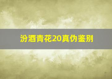 汾酒青花20真伪鉴别